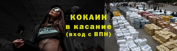 меф Арсеньев