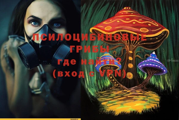 меф Арсеньев