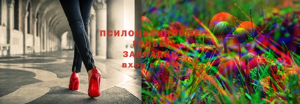 меф Арсеньев